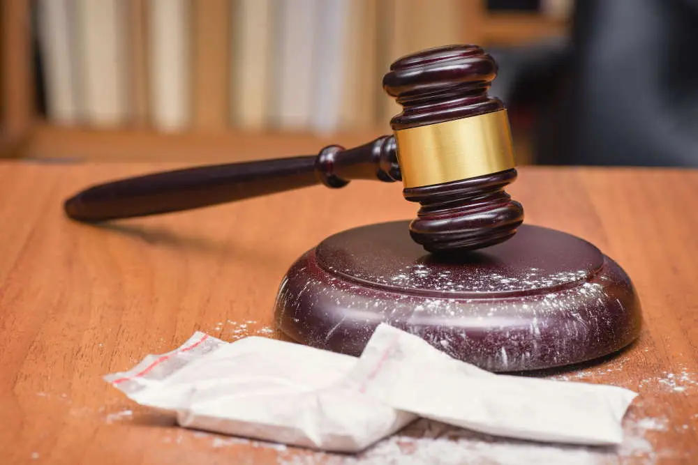 The Vexing Problem of Drug Trafficking